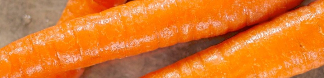 Carrot close up